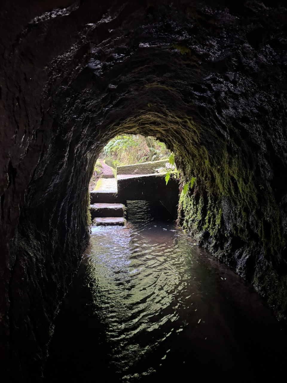 The Return and the Road Ahead